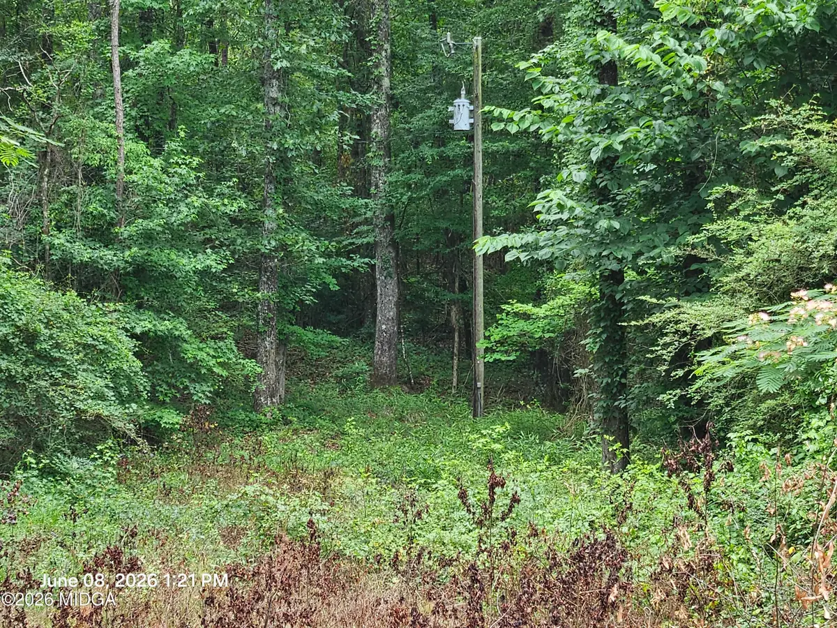 0 Davis Road, Macon, GA 31217 - #1