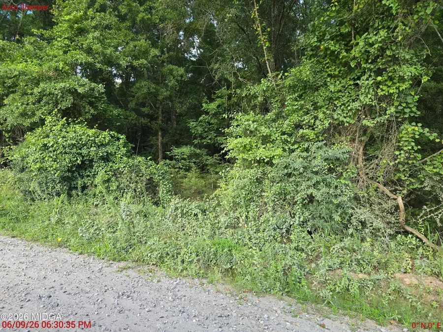 2300 Dennis Road, Macon, GA 31220 - #2