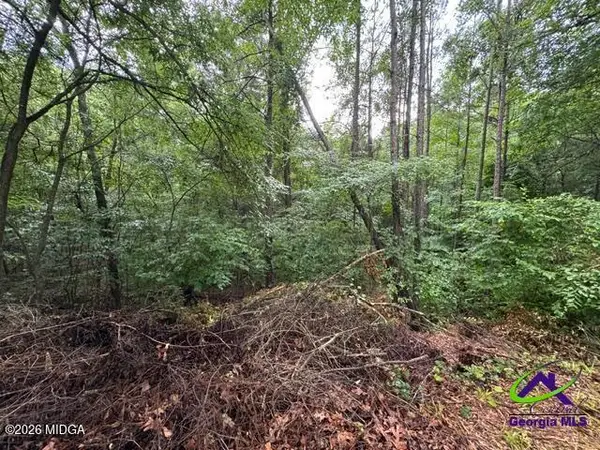 172 Waters Point, Lizella, GA 31052