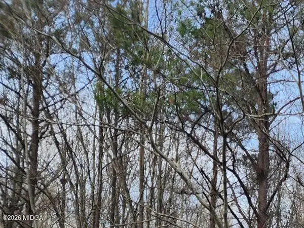 U S U Highway 80 E, Knoxville, GA 31050