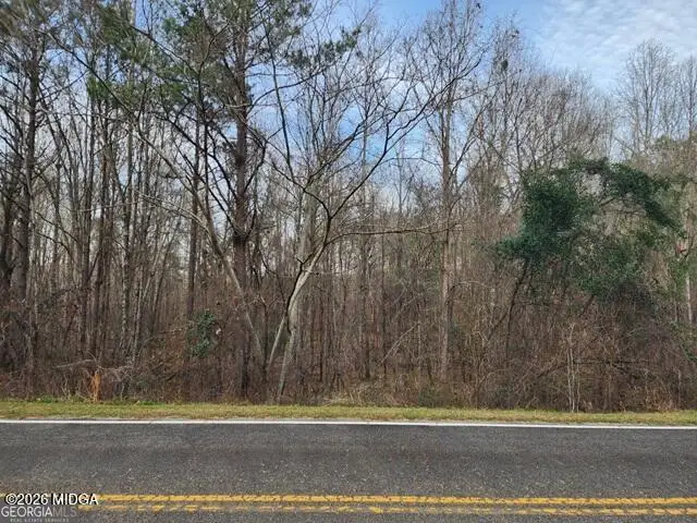 U S U Highway 80 E, Knoxville, GA 31050 - #2