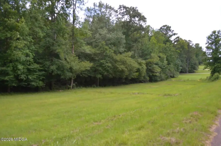 Lot 13 Cardiff Drive, Macon, GA 31220 - #2