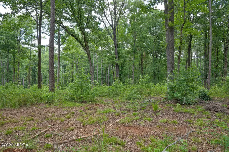 500 Askin Place Road, Culloden, GA 31016 - #3