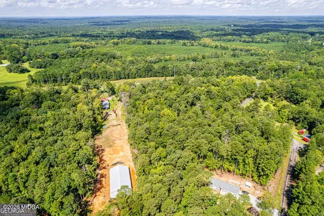 0 Braswell Lake Road, Gray, GA 31032 - #3