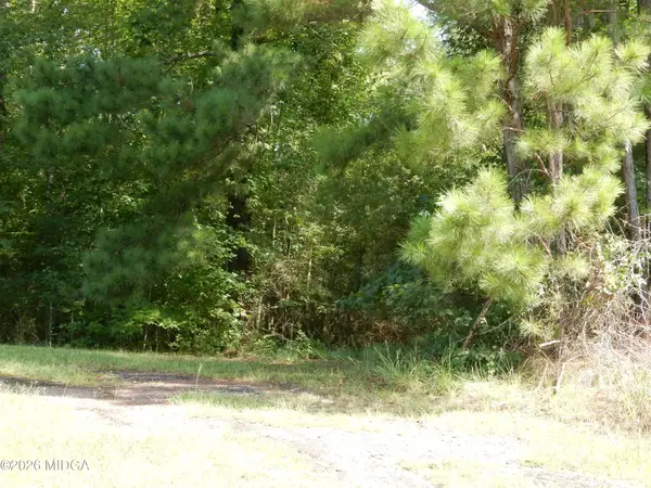 Parcel 1 Whitaker Road, Roberta, GA 31078