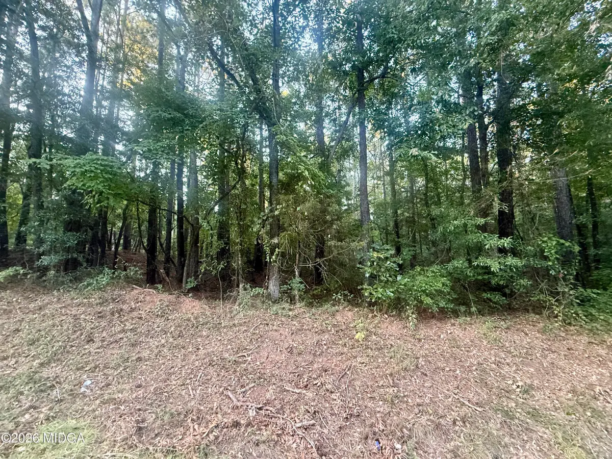 Lot 19 Towaliga Lake Drive, Jackson, GA 30233 - #1