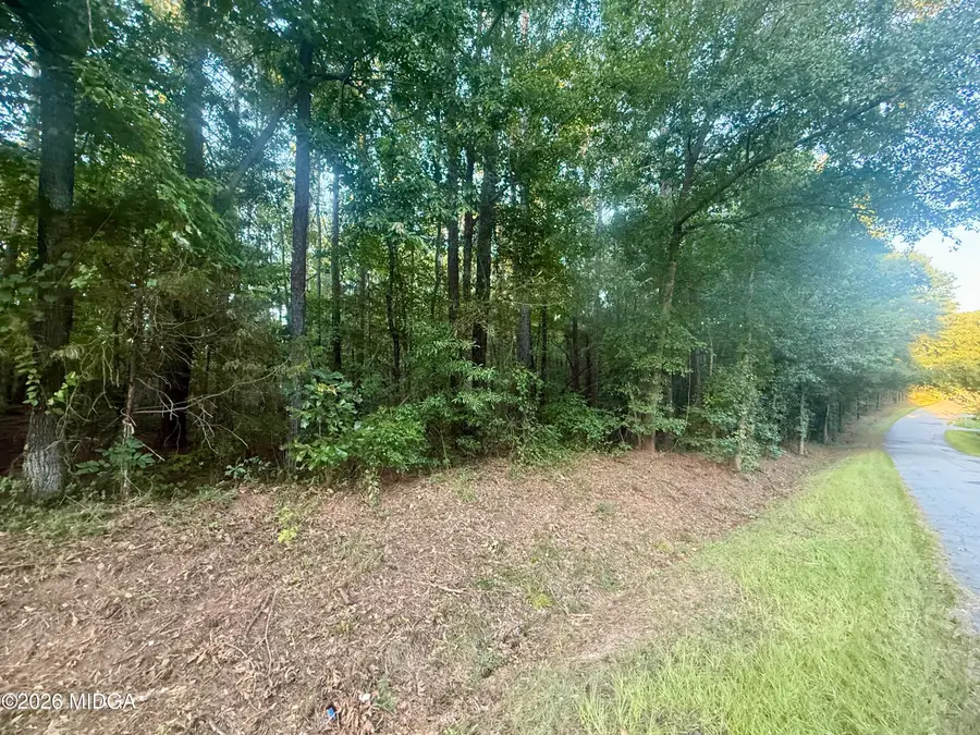 Lot 19 Towaliga Lake Drive, Jackson, GA 30233 - #2