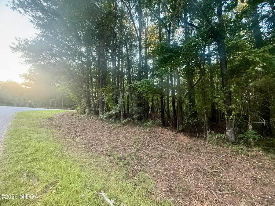 Lot 19 Towaliga Lake Drive, Jackson, GA 30233 - #3