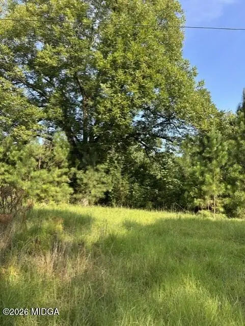 806 Pea Ridge Road, Juliette, GA 31046