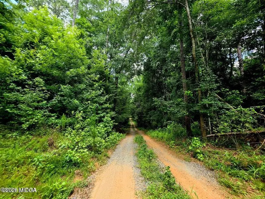 0 Highway 42 S #8B, Forsyth, GA 31029 - #2