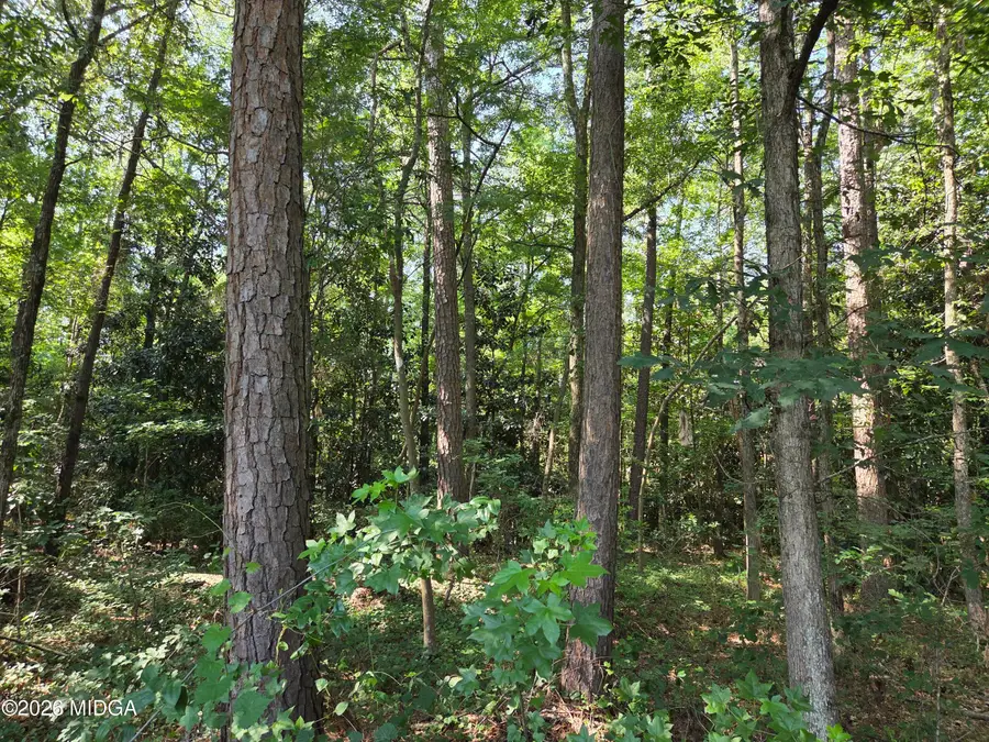 2110 Forest Hill Road, Macon, GA 31210 - #2