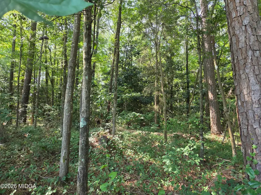 2110 Forest Hill Road, Macon, GA 31210 - #3