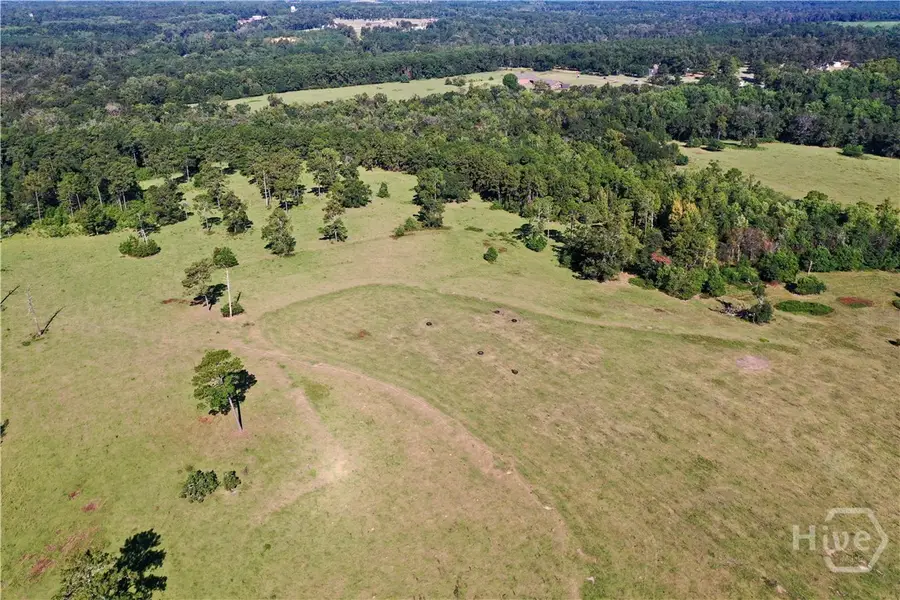 00 20th Street Ne, Cairo, GA 39828 - Image #3