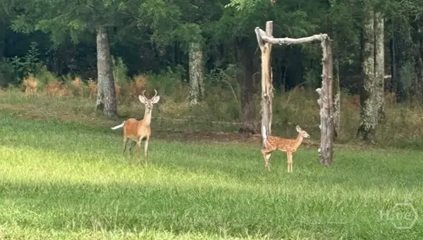 00 Bobby Brown State Park Road, Elberton, GA 30635