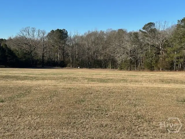 2351 Elder Ext Tract 1, Bishop, GA 30621 - Image #3