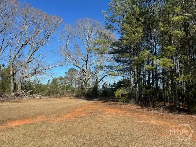 2351 Elder Ext Tract 3, Bishop, GA 30621 - Image #3