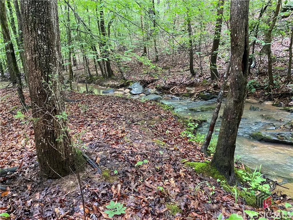 0 Far-a-way Road, Elberton, GA 30635 - Image #1