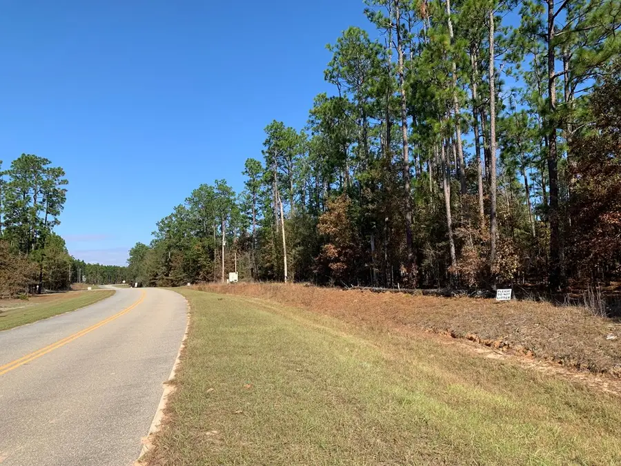 8113 Harvel Pond Road, Donalsonville, GA 39845 - #2