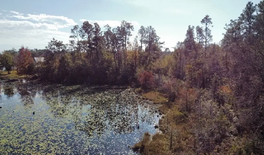 8113 Harvel Pond Road, Donalsonville, GA 39845 - #3