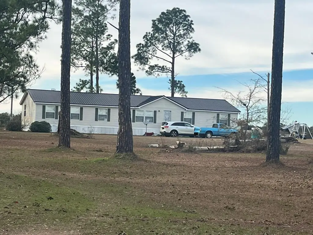 994 Hornsby Road, Iron City, GA 39859 - #1