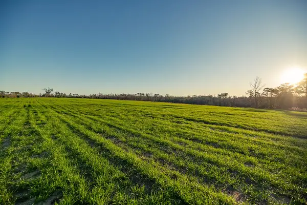 02 Clay, Attapulgus, GA 39819