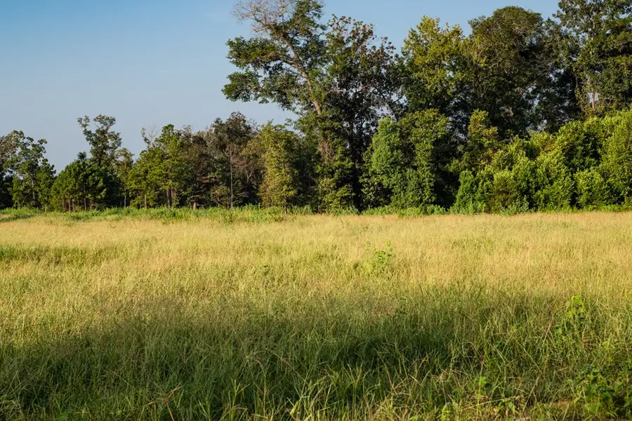 02 Clay, Attapulgus, GA 39819 - #2