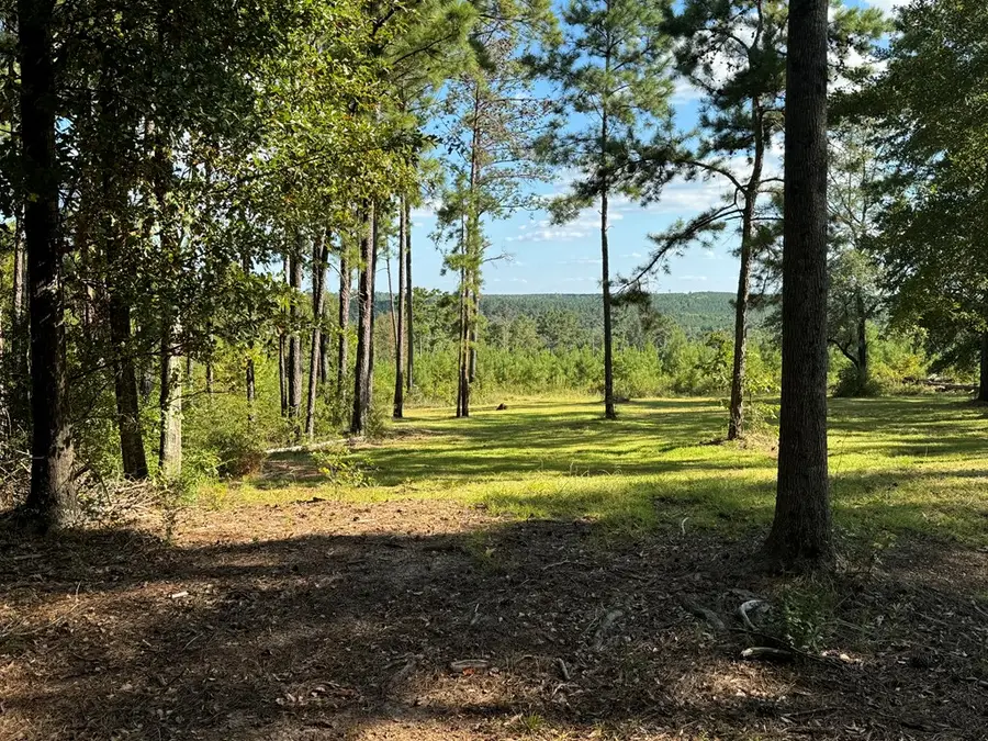 Lot 7 Easy St, Bainbridge, GA 39819 - #2