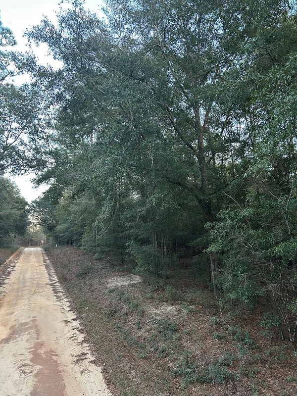 00 Pine Logging Road, Donalsonville, GA 39845