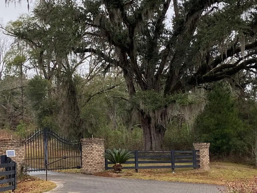 Lots Lott 19, Bainbridge, GA 39817 - #3