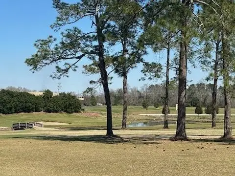 Lot 1 Crine Blvd Lot 1, Cairo, GA 39828 - #2