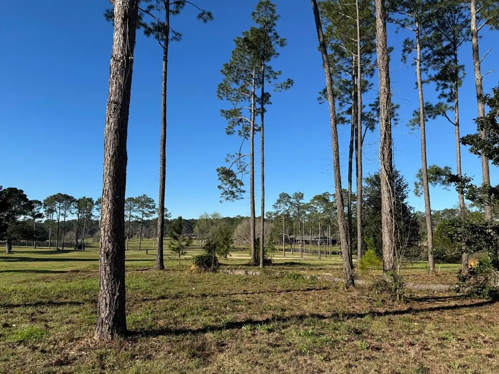 000 Magnolia Dr, Lot 23, Cairo, GA 39828 - #1