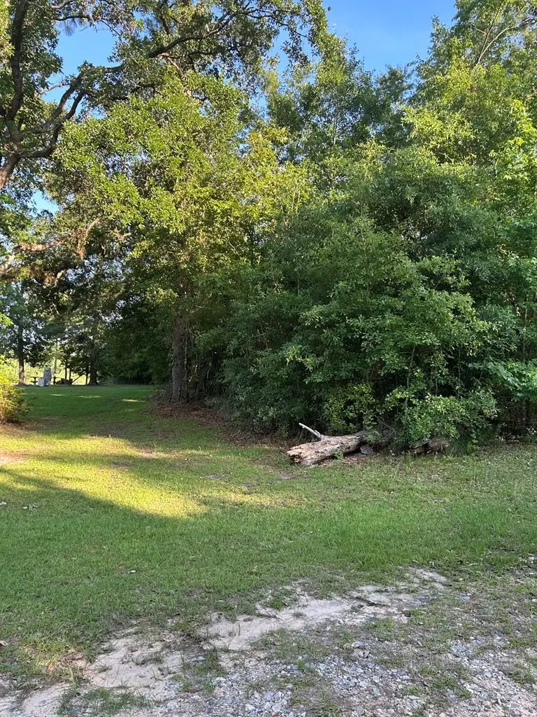 2781 Southwest Drive, Donalsonville, GA 39845 - #2