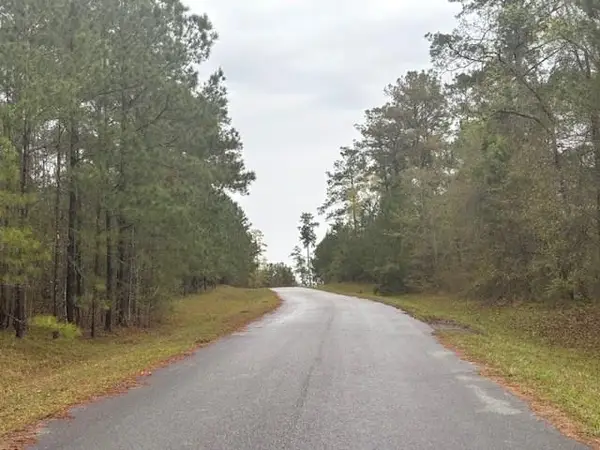 Lot 1 Allison Drive, Bainbridge, GA 39819
