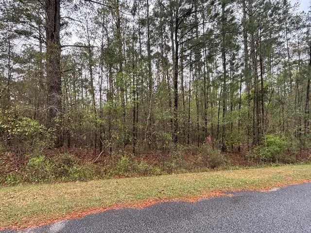 Lot 1 Allison Drive, Bainbridge, GA 39819 - #2