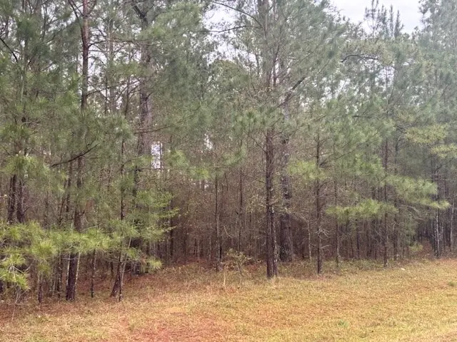 Lot 1 Allison Drive, Bainbridge, GA 39819 - #3