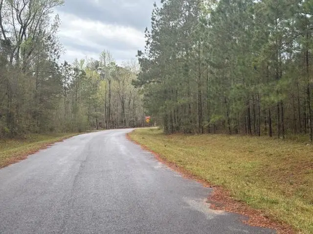 Lot 6 Allison Drive, Bainbridge, GA 39819 - #1