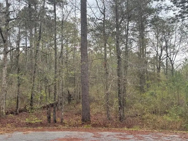 Lot 6 Allison Drive, Bainbridge, GA 39819 - #3