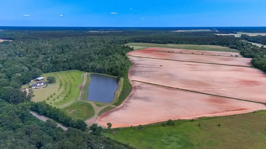 74 Harmony Church Road, Colquitt, GA 39837 - #2