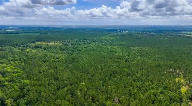 1990 E River Road, Bainbridge, GA 39817 - #3