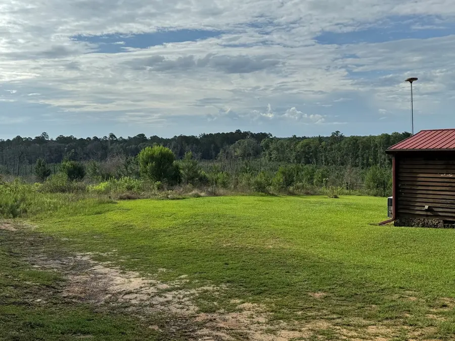 275 Lewis Ln, Cairo, GA 39828 - #2