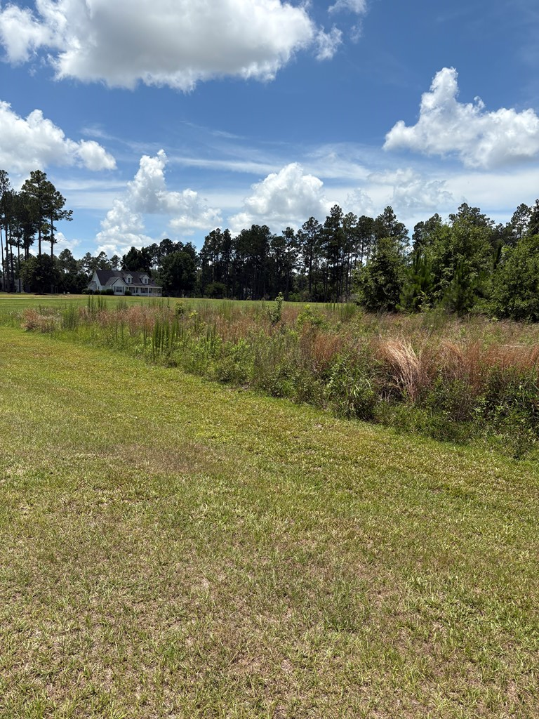 6004 Broken Arrow Drive, Donalsonville, GA 39845 - #3