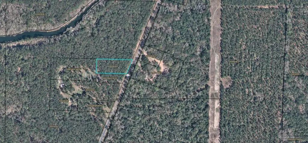 000 East River Road, Bainbridge, GA 39817 - #1