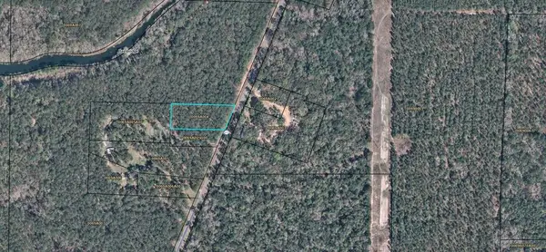 000 East River Road, Bainbridge, GA 39817