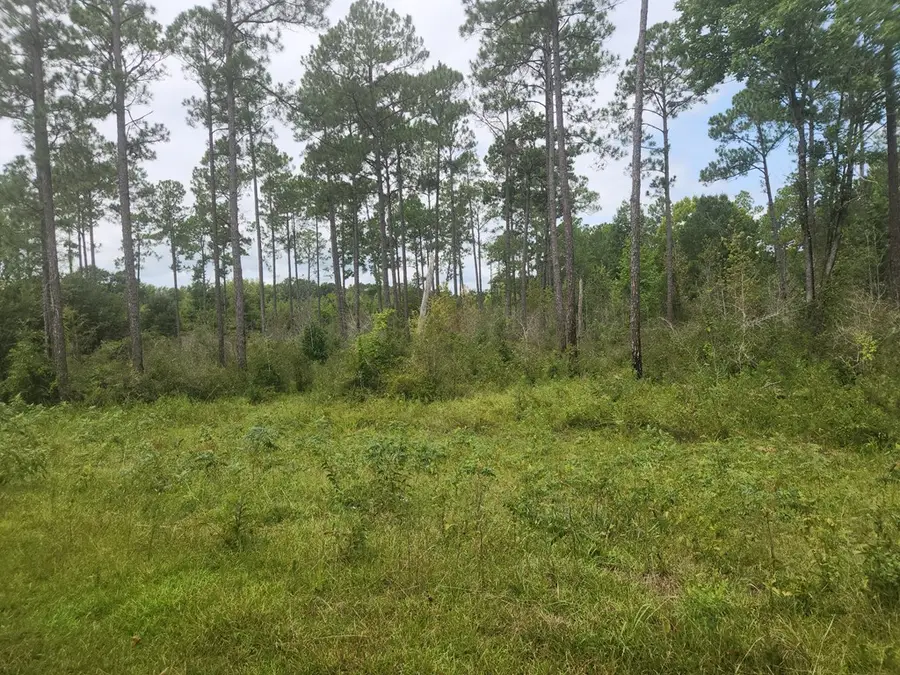 0 River Trace, Camilla, GA 31730 - #3