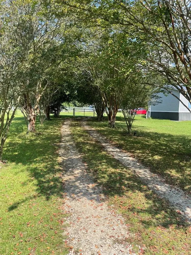 5813 Cedar Springs Road, Blakely, GA 39837 - #3