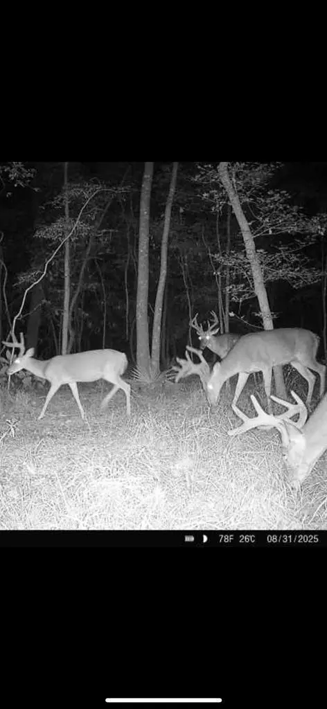 2200 Gillionville Road, Albany, GA 31707 - #1