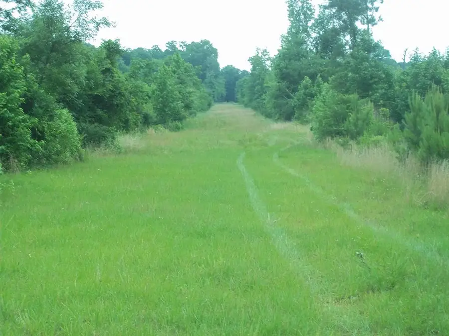 2200 Gillionville Road, Albany, GA 31707 - #2