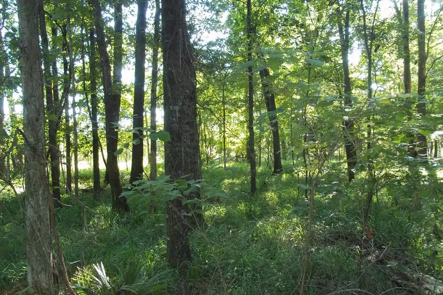 2200 Gillionville Road, Albany, GA 31707 - #3