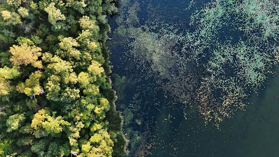 0000 Mountain View Way, Bainbridge, GA 39819 - #2