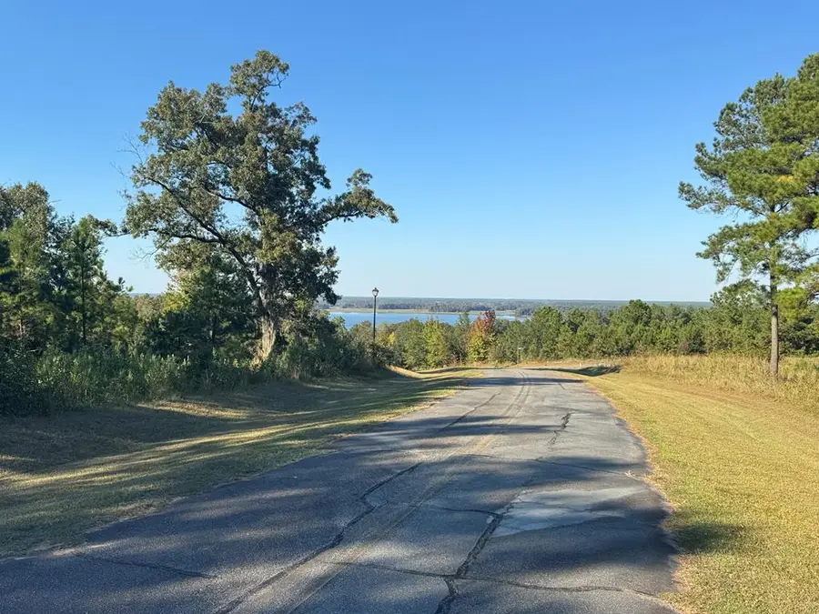 Lot 8 Mountain View Way, Bainbridge, GA 39819 - #3